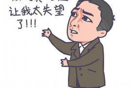 隆阳企业清欠服务